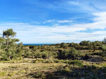 Terrain rustique à vendre à El Perelló