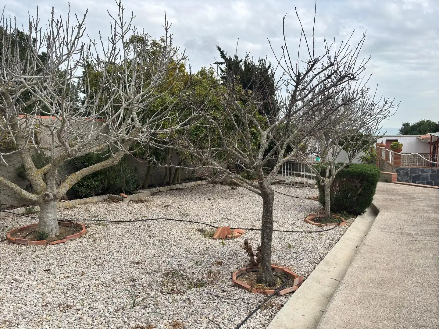 Casa rústica amb jardí en venda a Vejer, imagen 33