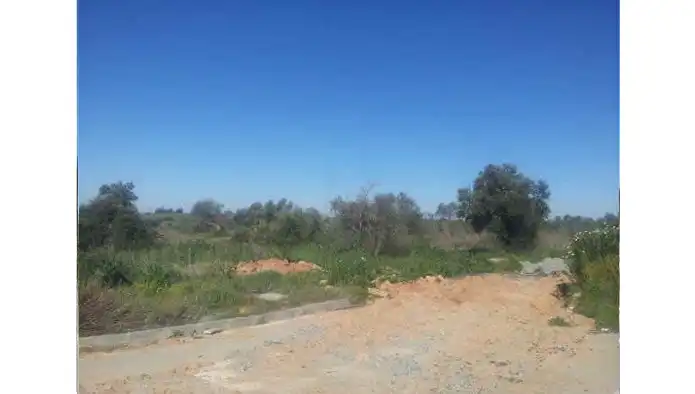 Terreni e lotti in vendita a Ctra Mairena-Almensilla - Sc ST-3 El Mármol -, imagen 10