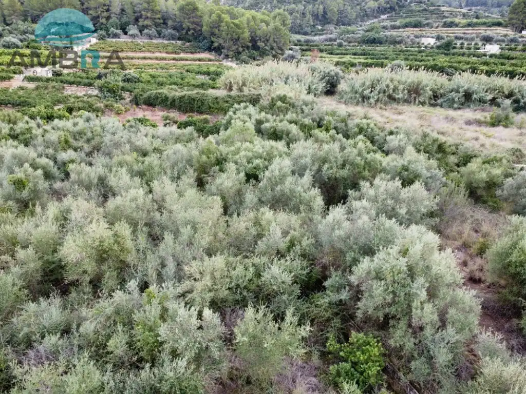 Rural land for sale in Pego, imagen 5