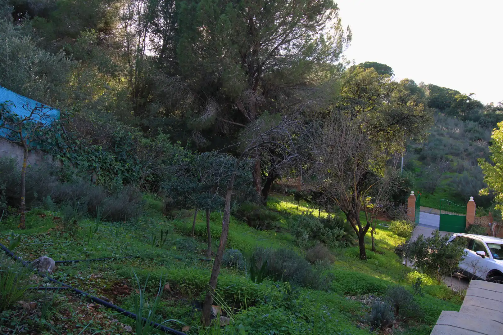 Jardí de Casa o xalet en venda en Alhaurín de la Torre amb Aire condicionat, Jardí privat i Terrassa