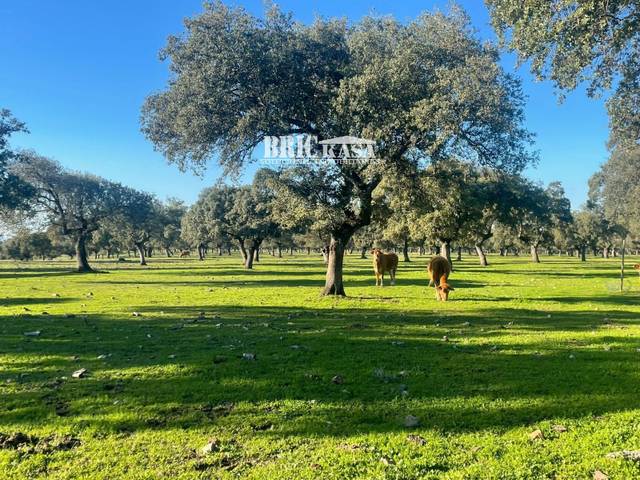 Terreno residencial en Venta en N/A en Brozas