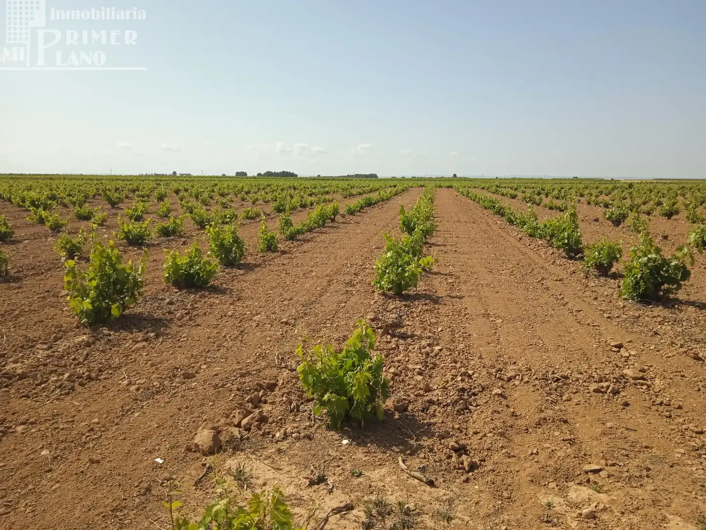 Terrenos y solares en venta en Socuéllamos, imagen 6