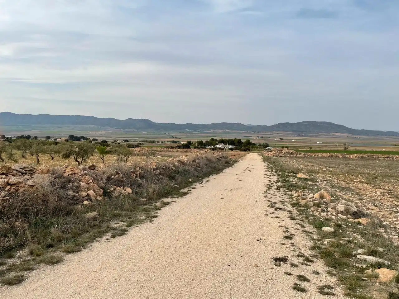 Terreni e lotti in vendita a Yecla, imagen 7