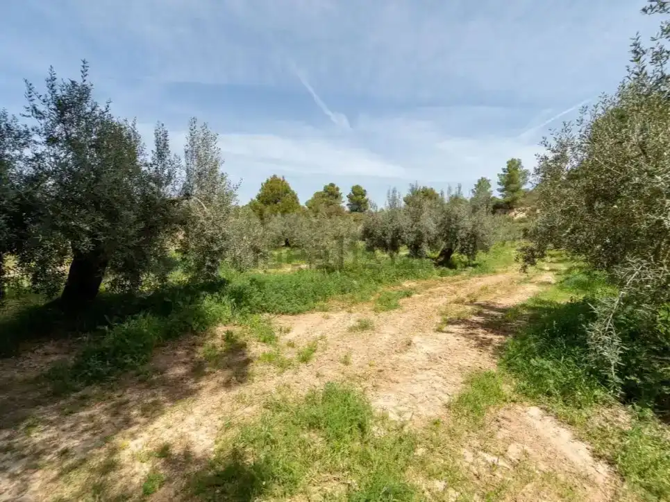 Pis en venda en Flix amb Jardí privat, Moblat i Balcó