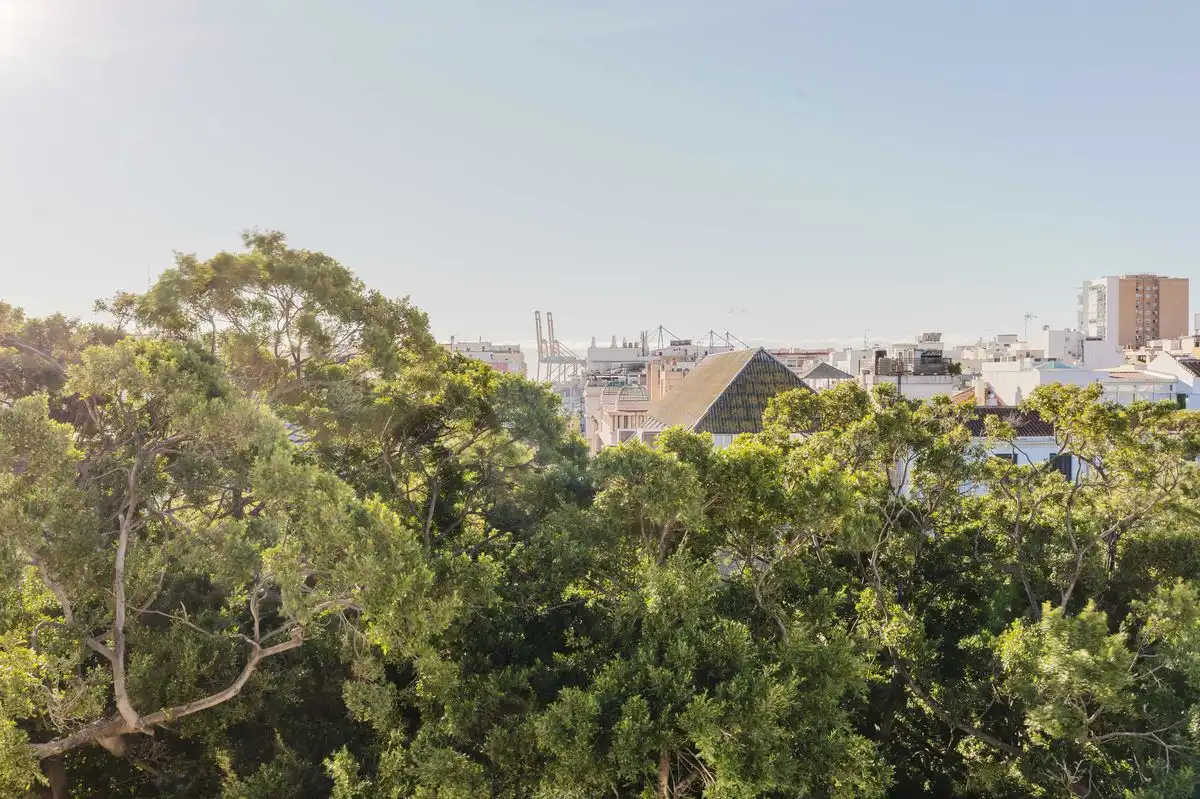 Ático con terraza en venta en Alameda Principal, imagen 20