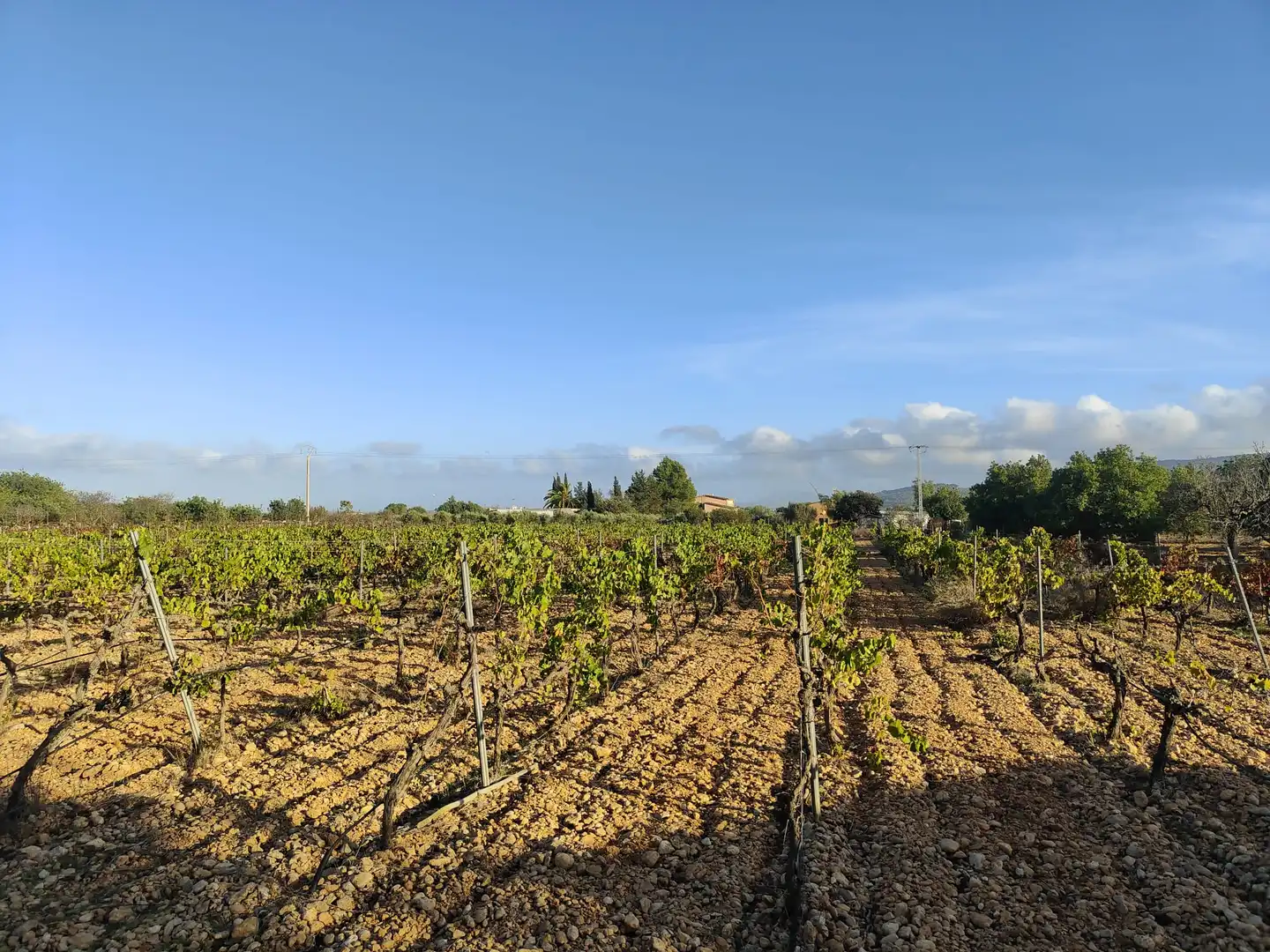 Residencial en venda en Consell