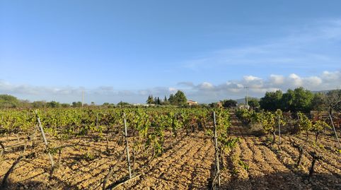 Finca rústica en venta