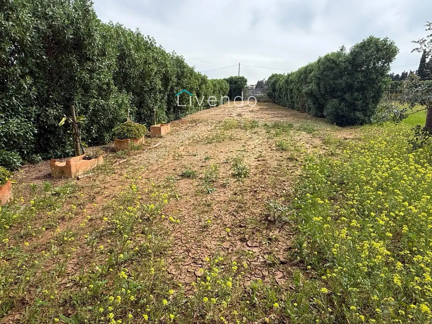 Terreny en venda en Conil de la Frontera