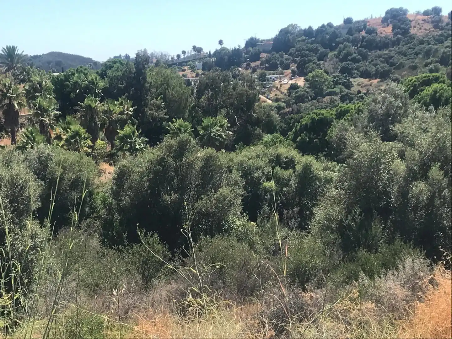 Grundstücke zum Verkauf in Estepona