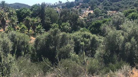 Foto 2 von Grundstücke zum Verkauf in Camino Nicola, El Velerín, Estepona