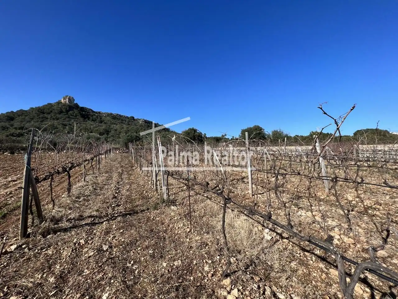 Residential for sale in Son Servera