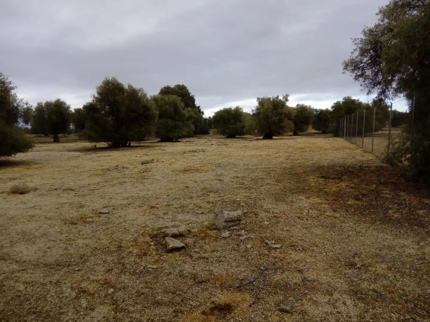 Terreno residencial en venta en Calle Rosalia de Castro 5D, imagen 2