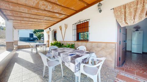 Photo 3 of Land for sale in  Pd Montecorto 1468 Polígono 12 Parcela 124, Partidas Norte, Málaga