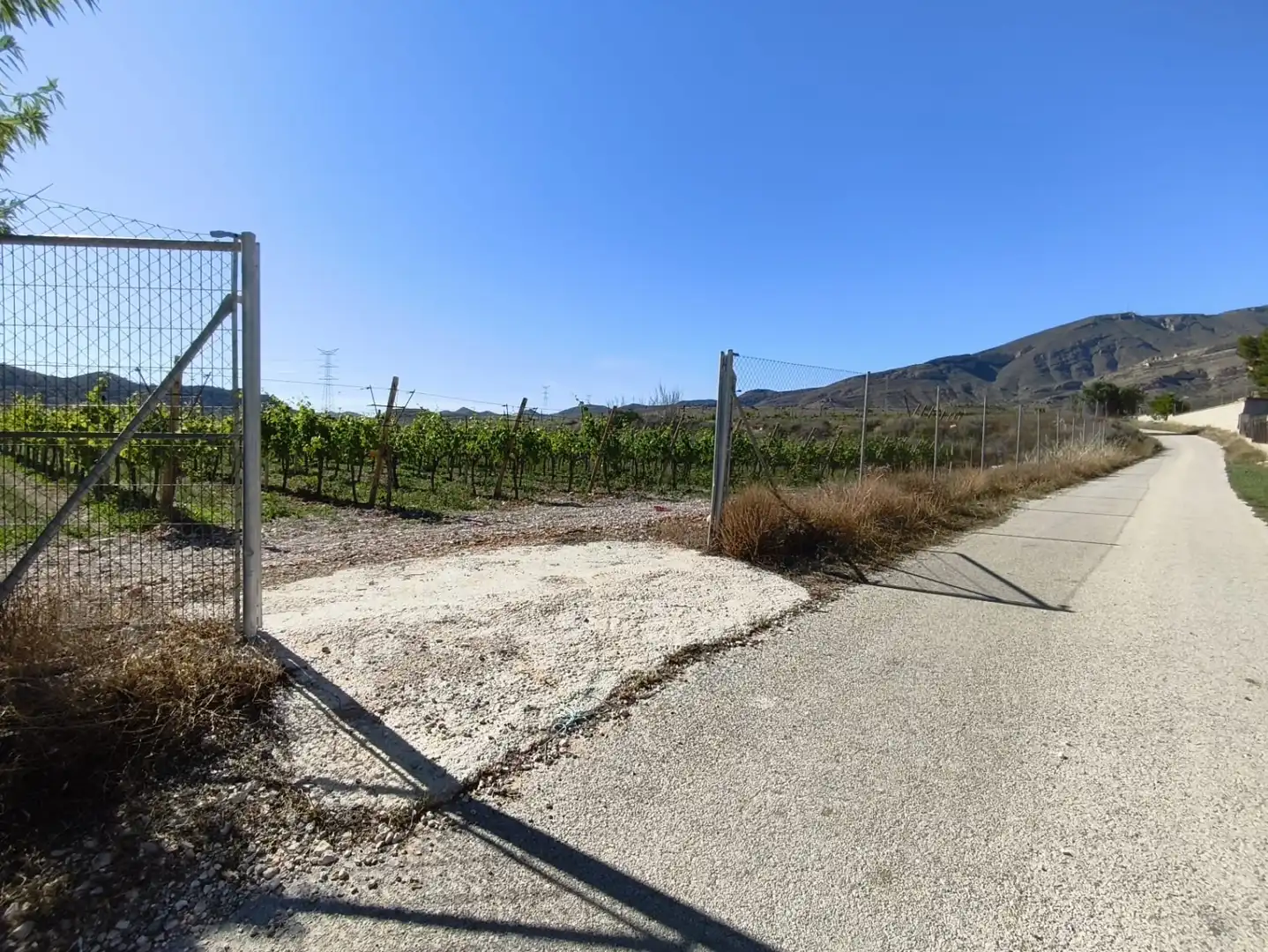 Terreno rústico en venta en Monforte del Cid - Paraje la Serreta, imagen 5