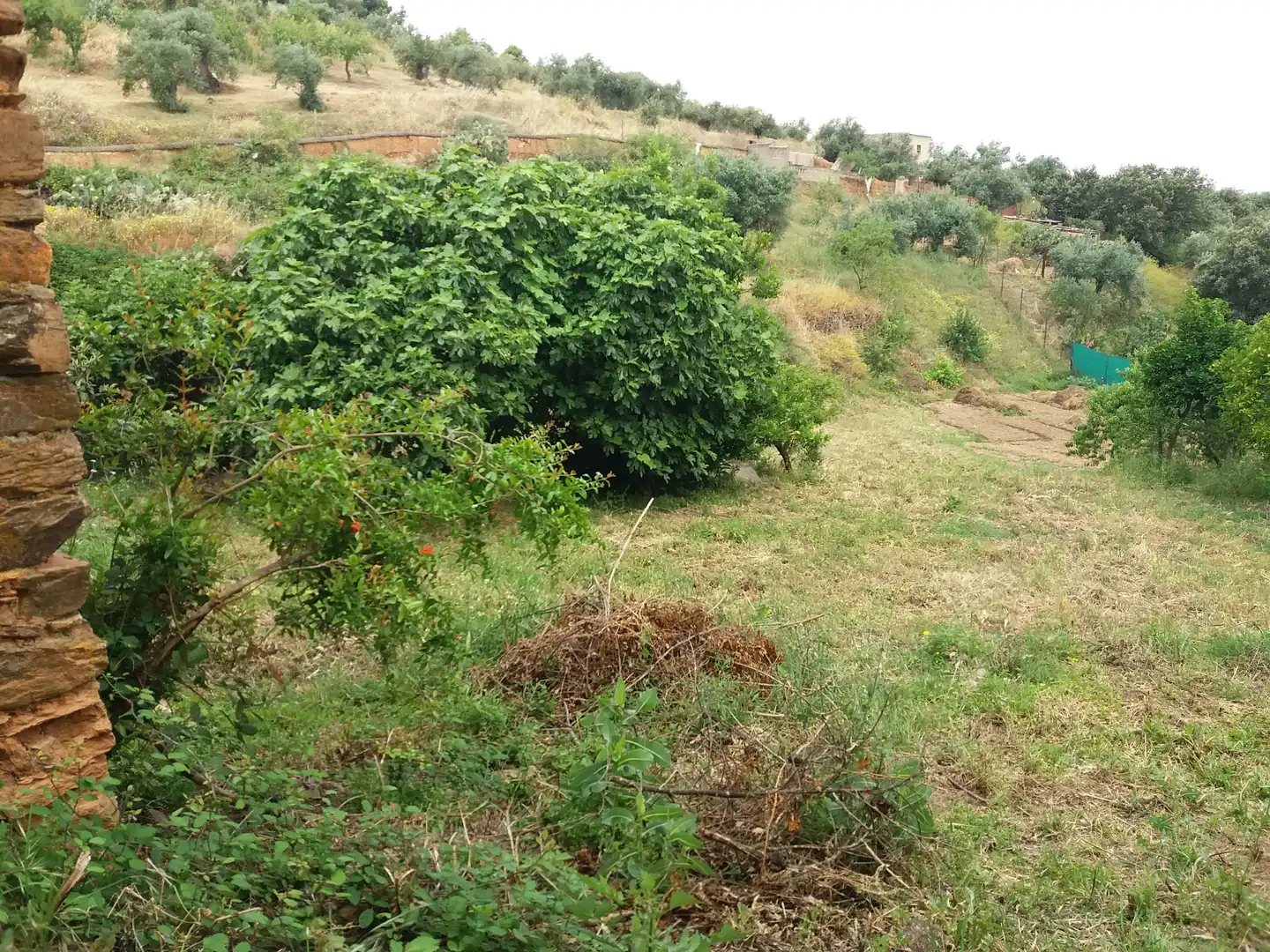 Terreni e lotti in vendita a Calle Luis Chamizo 5, imagen 2