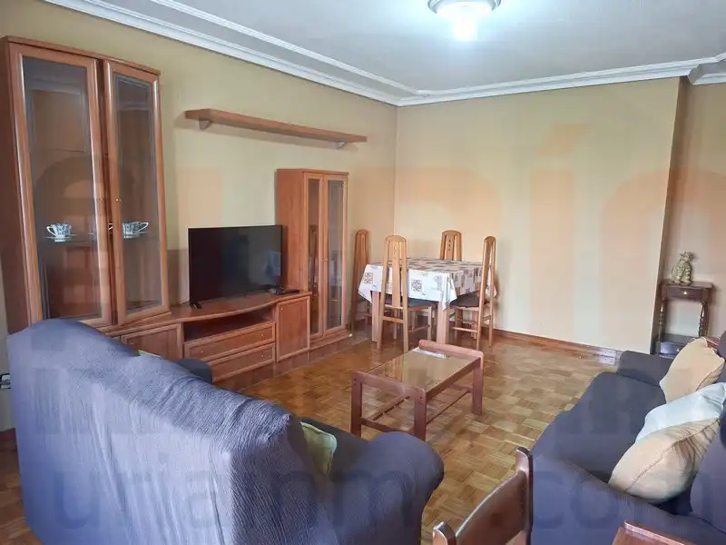 Sala de estar de Piso de alquiler en Oviedo  con Calefacción, Amueblado y Lavadora