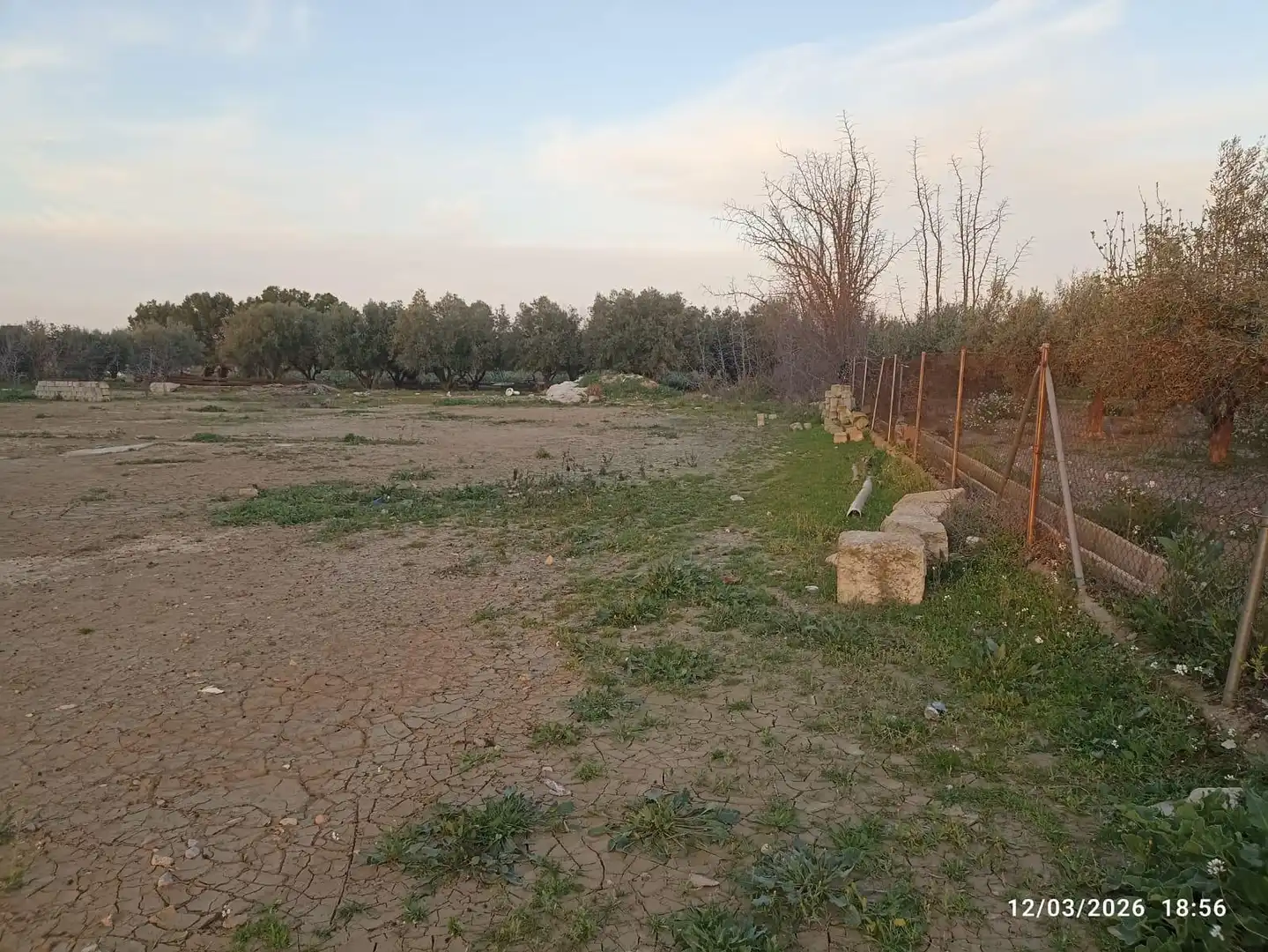 Land for sale in Totana