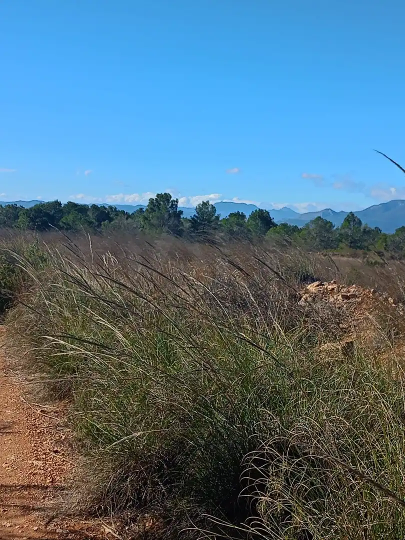 Grundstücke zum Verkauf in Lorca