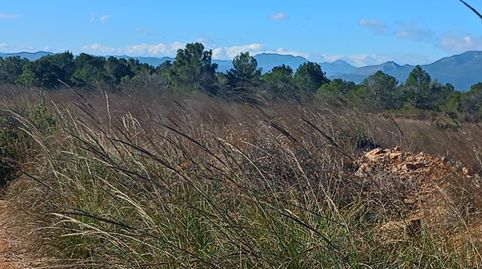 Foto 5 von Grundstücke zum Verkauf in Aviles, Lorca
