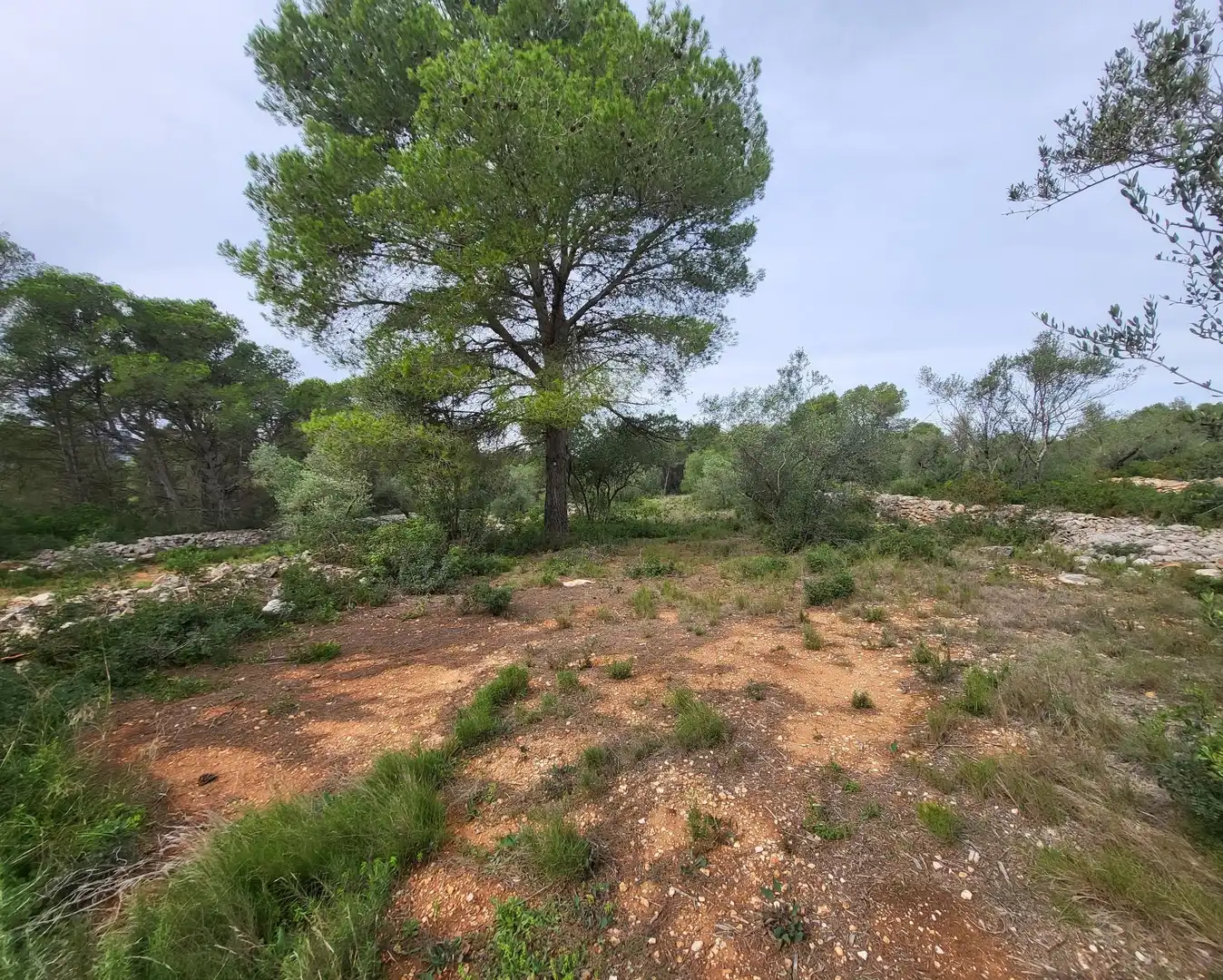 Country house for sale in El Perelló, imagen 29
