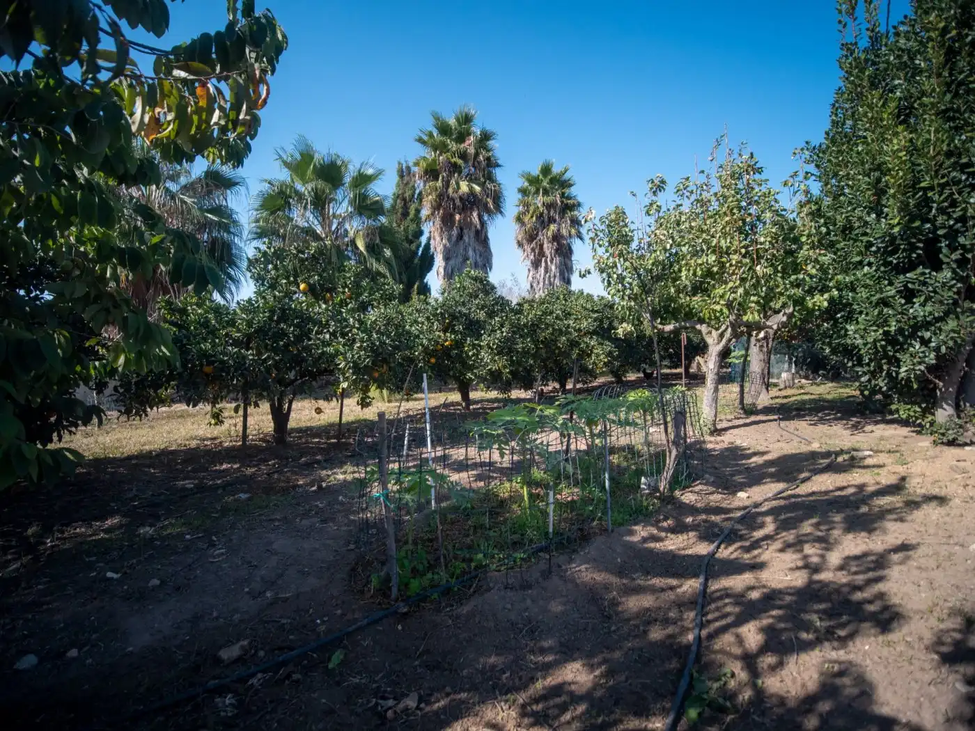 Finca rústica en venta en Chipiona con Jardín privado y Terraza