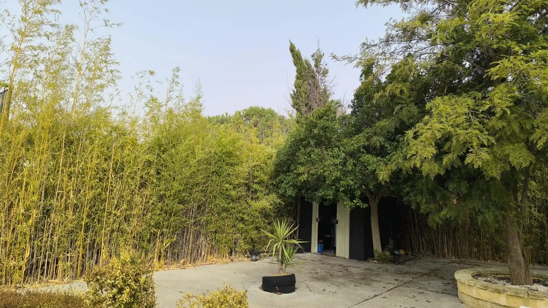 Villa zum Verkauf in La Carlota, imagen 3