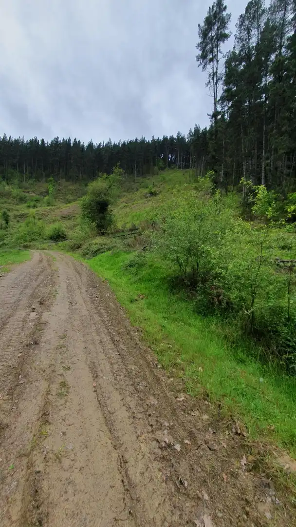 Exterior view of Land for sale in Laudio / Llodio
