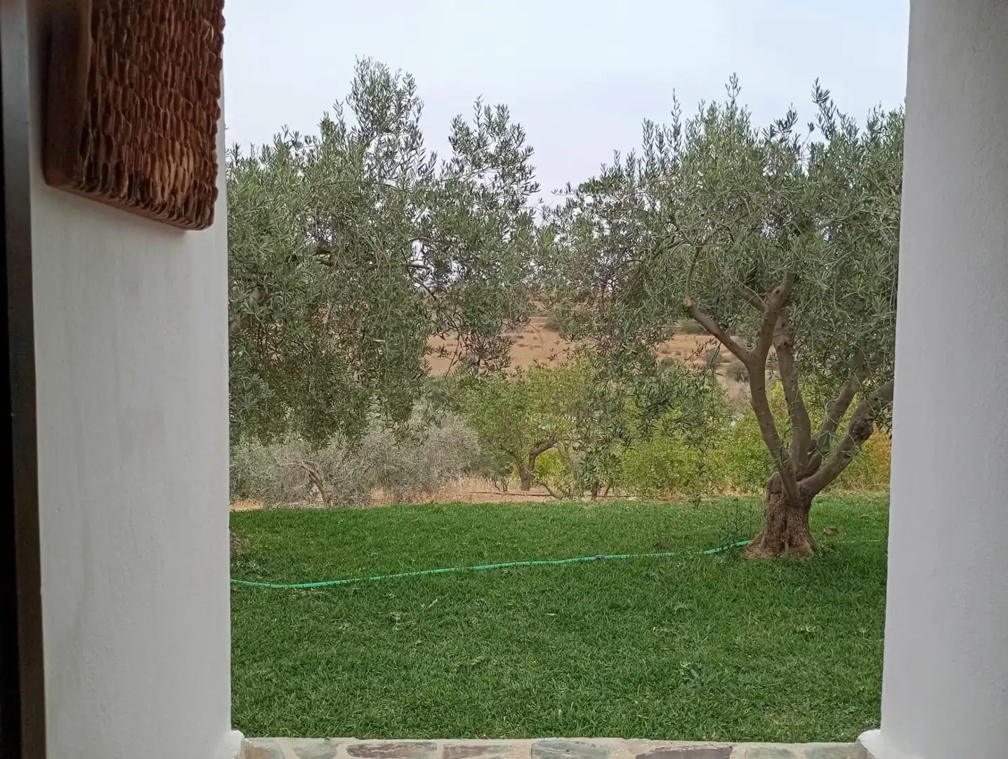 Maison avec piscine à vendre à 18, imagen 51
