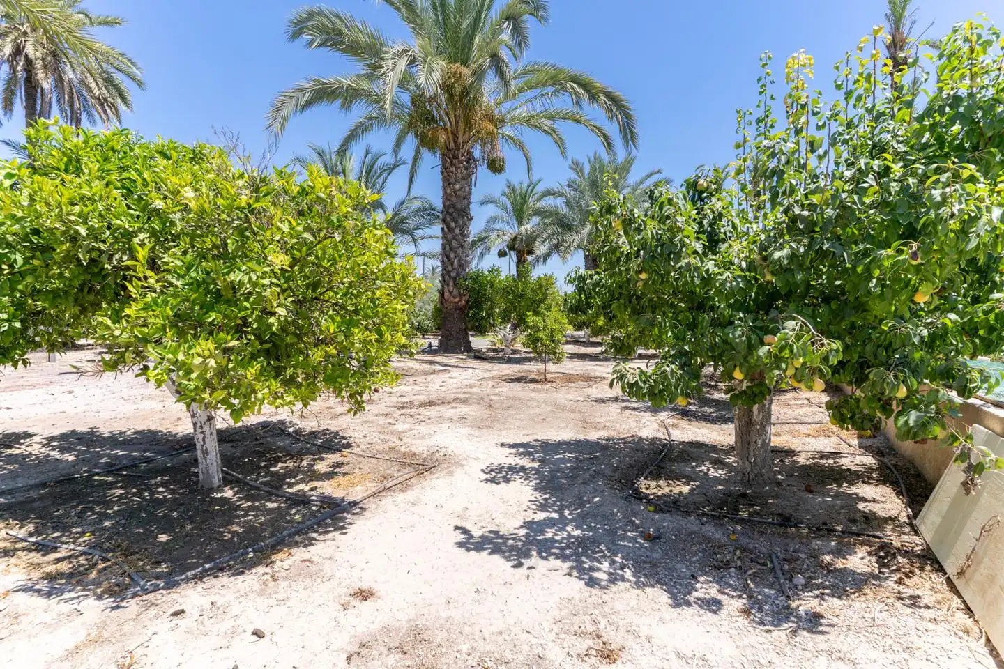 Houses for sale in Elche / Elx  with Air Conditioner, Private garden and Terrace