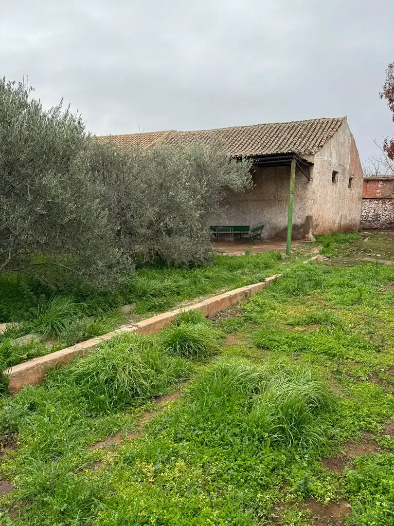 Terreny residencial en venda a Alcázar de San Juan, imagen 6