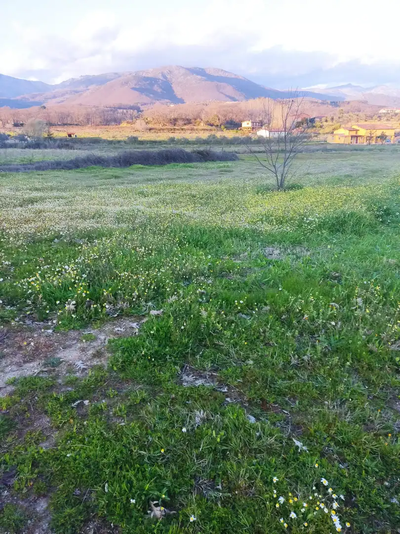Terreni e lotti in vendita a Jarandilla de la Vera, imagen 10