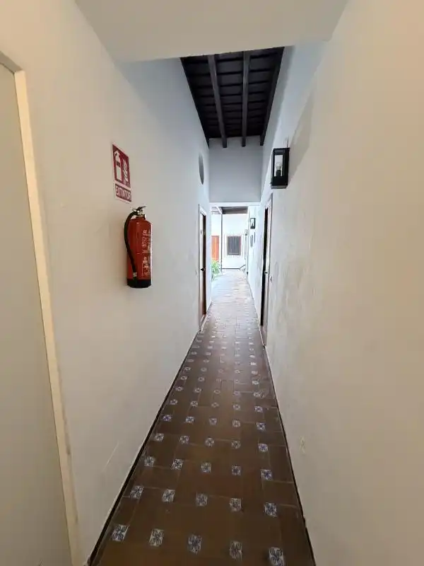 Wohnung zur Miete in Calle Galera, Arenal - Museo