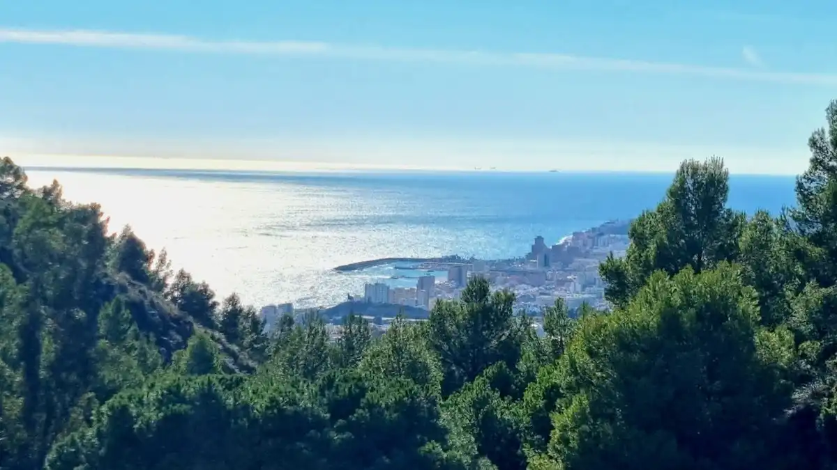 Vista exterior de Àtic en venda en Mijas amb Aire condicionat, Calefacció i Terrassa