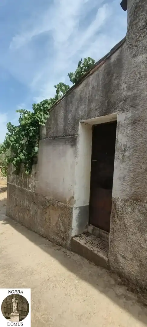 Vista exterior de Finca rústica en venta en Hinojal con Trastero, Amueblado y Balcón