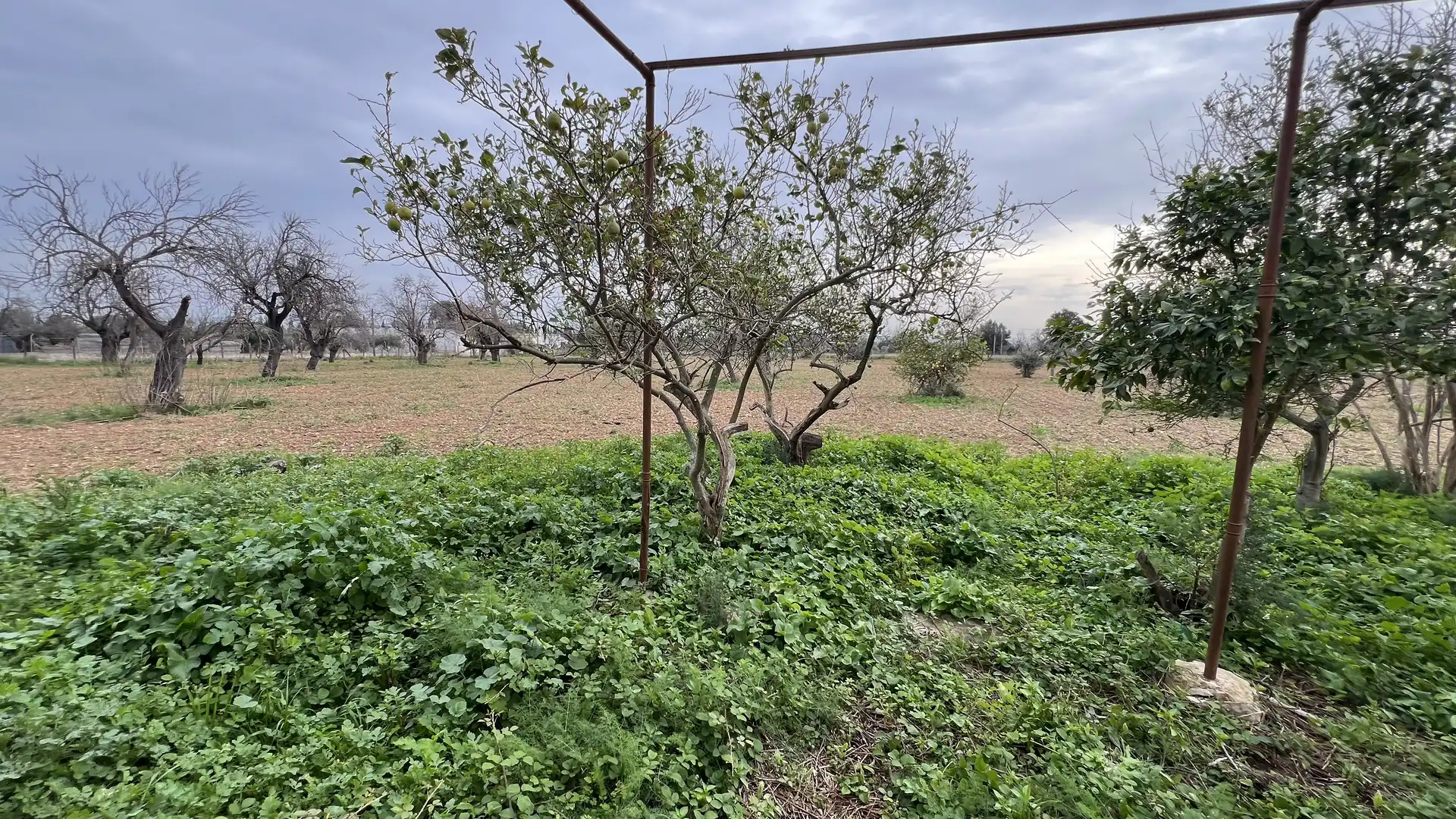 Maison rustique à vendre à Binissalem, imagen 18