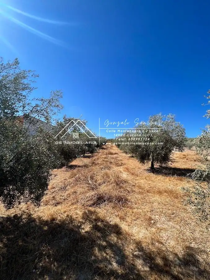 Residencial en venta en Encinas Reales