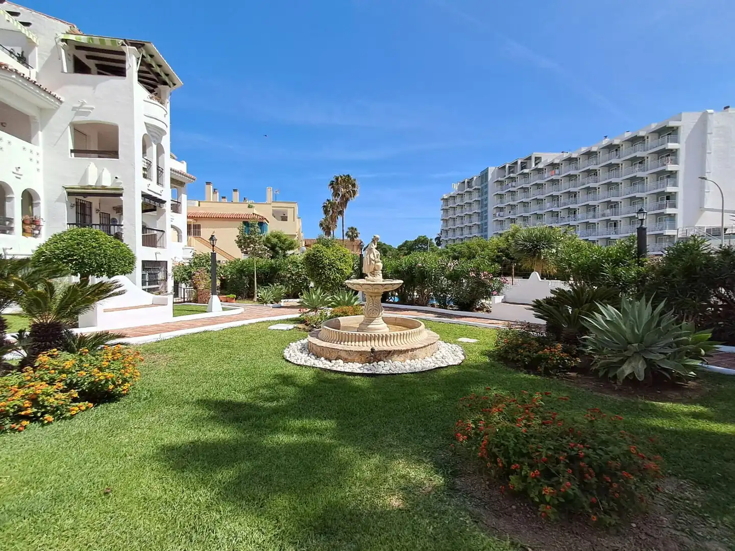 Appartement compact avec piscine à vendre à Albatros 16, imagen 22