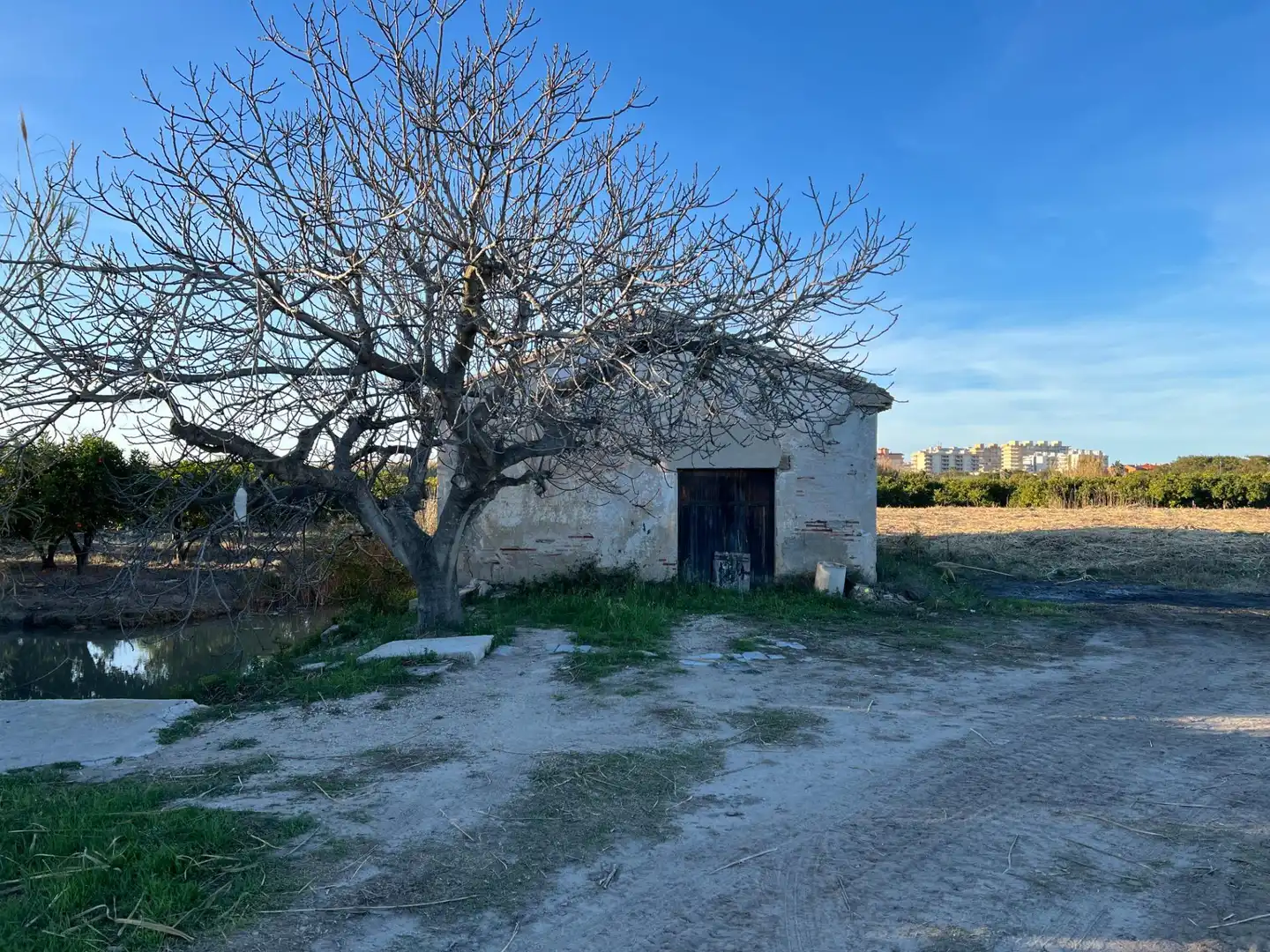 Terrain rustique à vendre à Partida BENEMIS 3