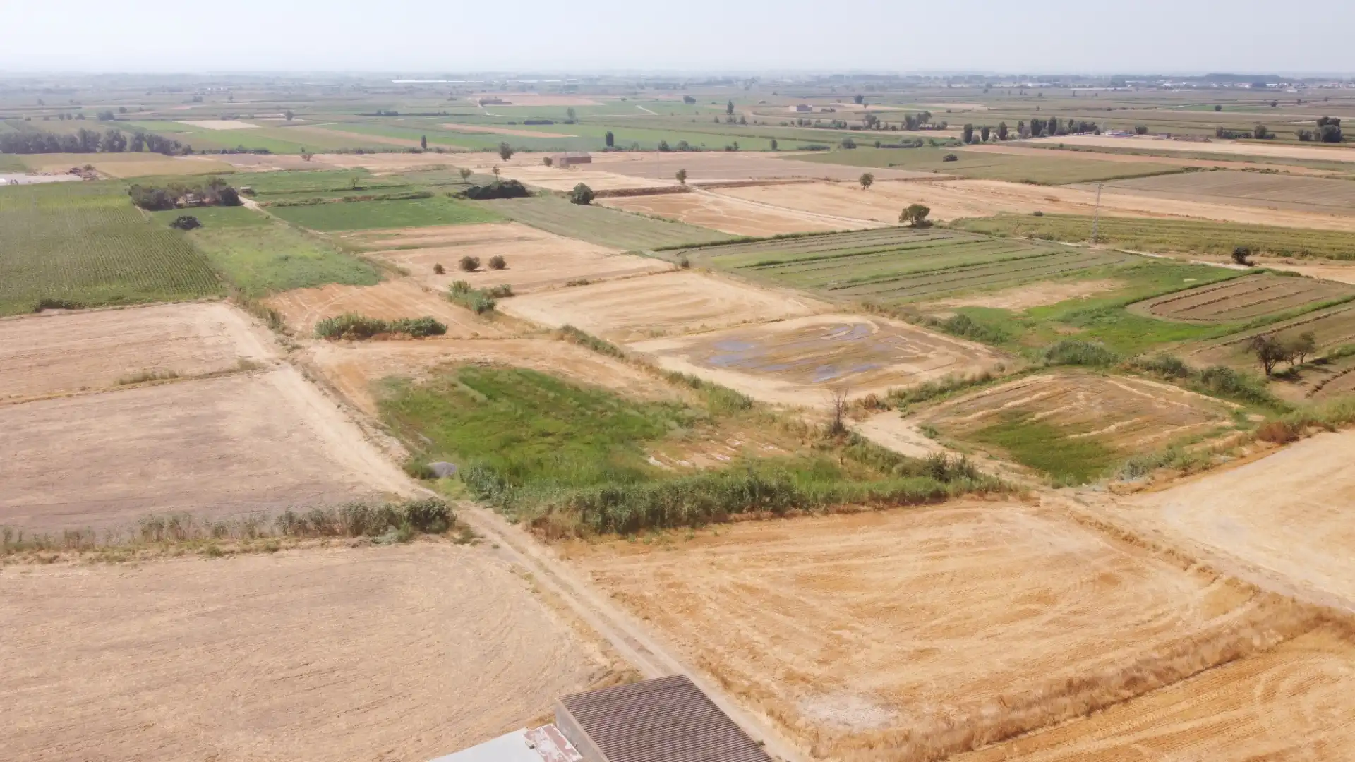 Land for sale in Linyola