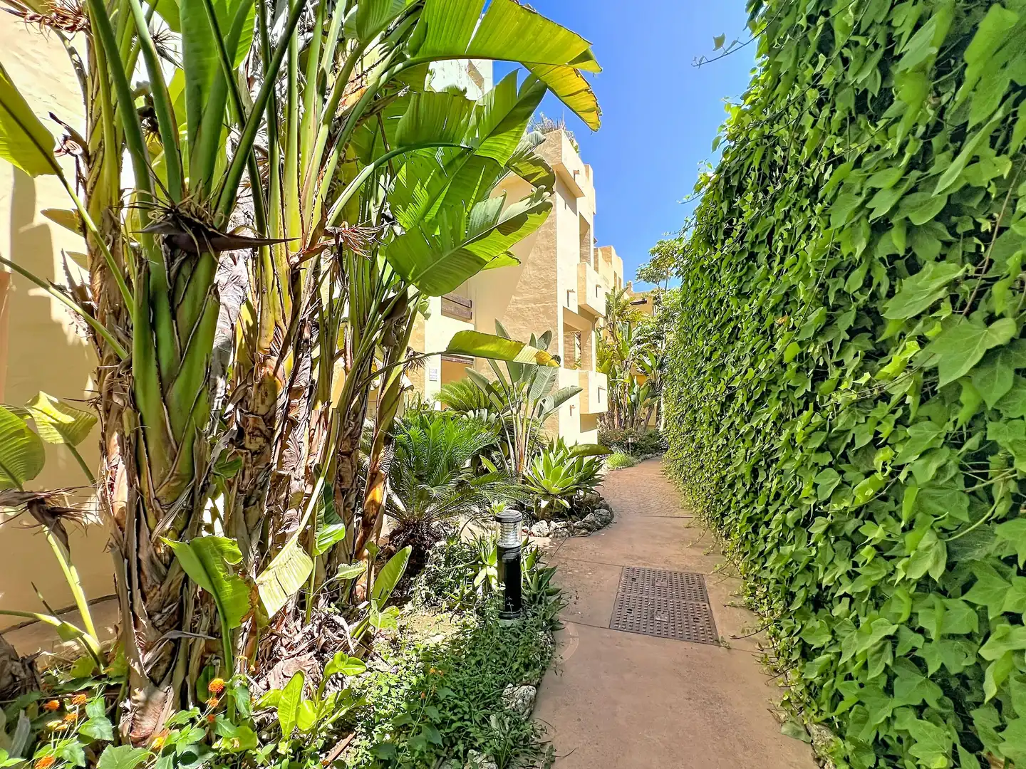 Flat with pool to rent in Manilva Pueblo, imagen 20