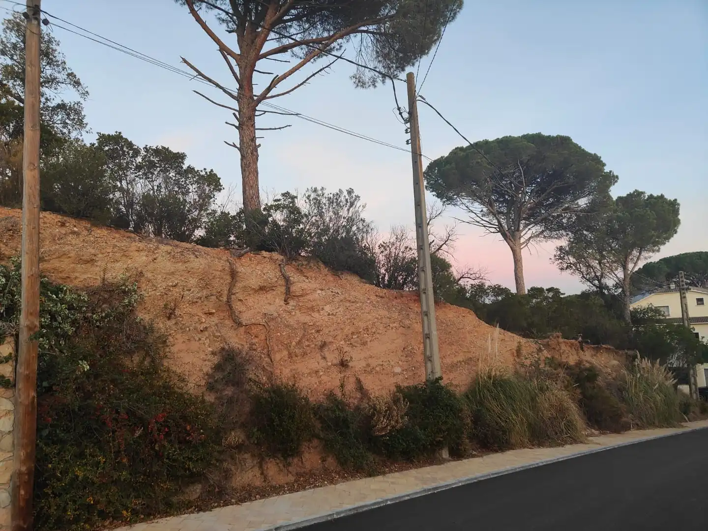 Terrenos y solares en venta en Riells i Viabrea, imagen 5