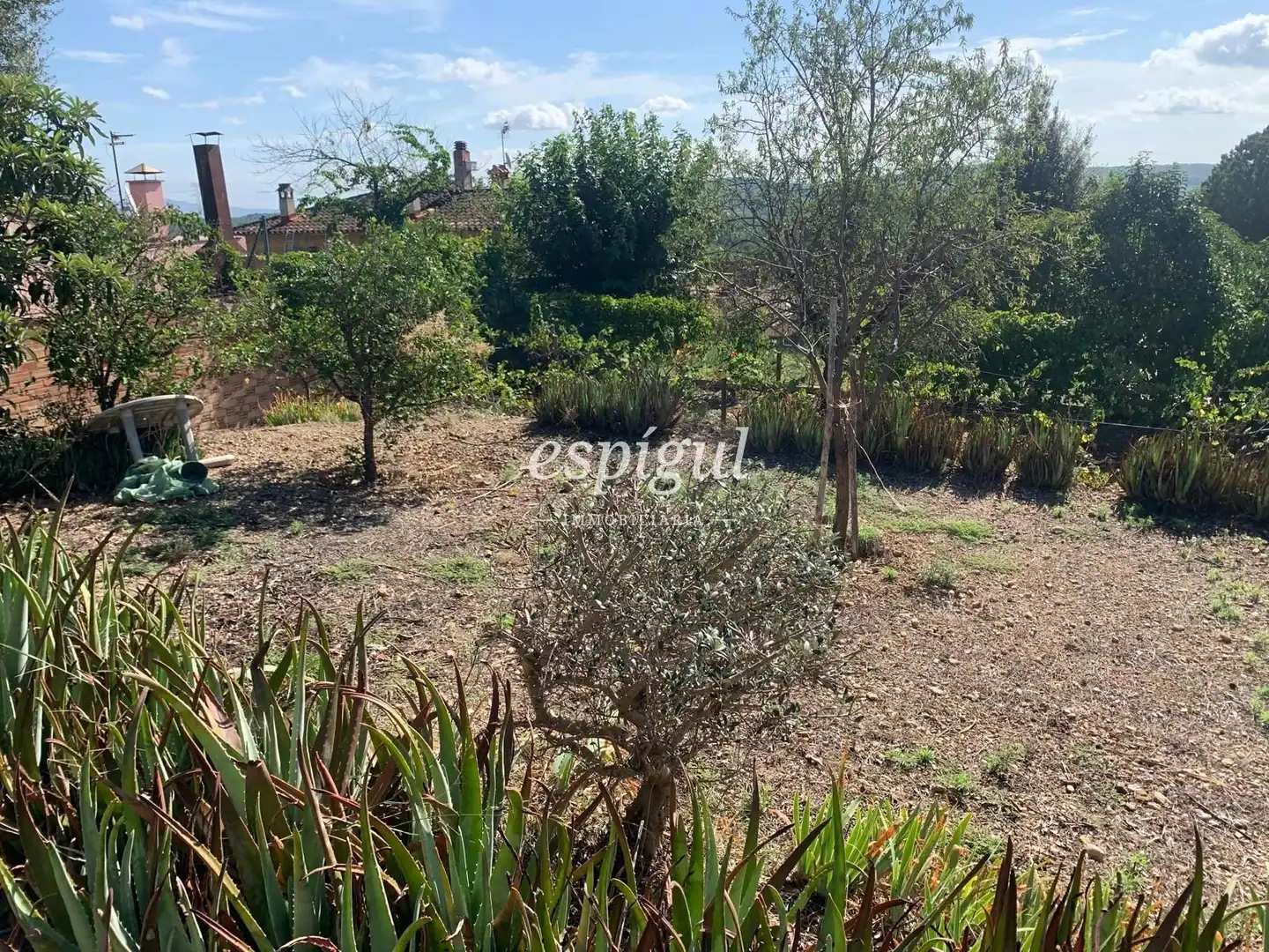 Land for sale in Dels pirineus, Bàscara