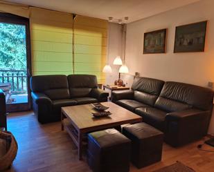 Sala d'estar de Apartament en venda en Alp amb Calefacció, Parquet i Terrassa