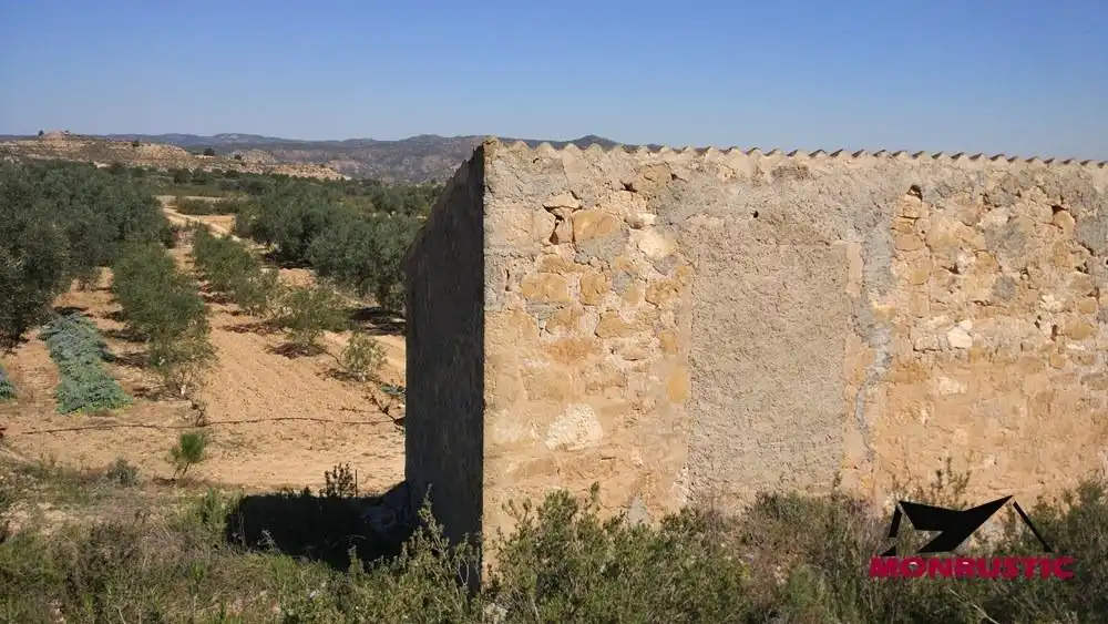 Terrain rustique à vendre à Riba-roja d'Ebre, imagen 9