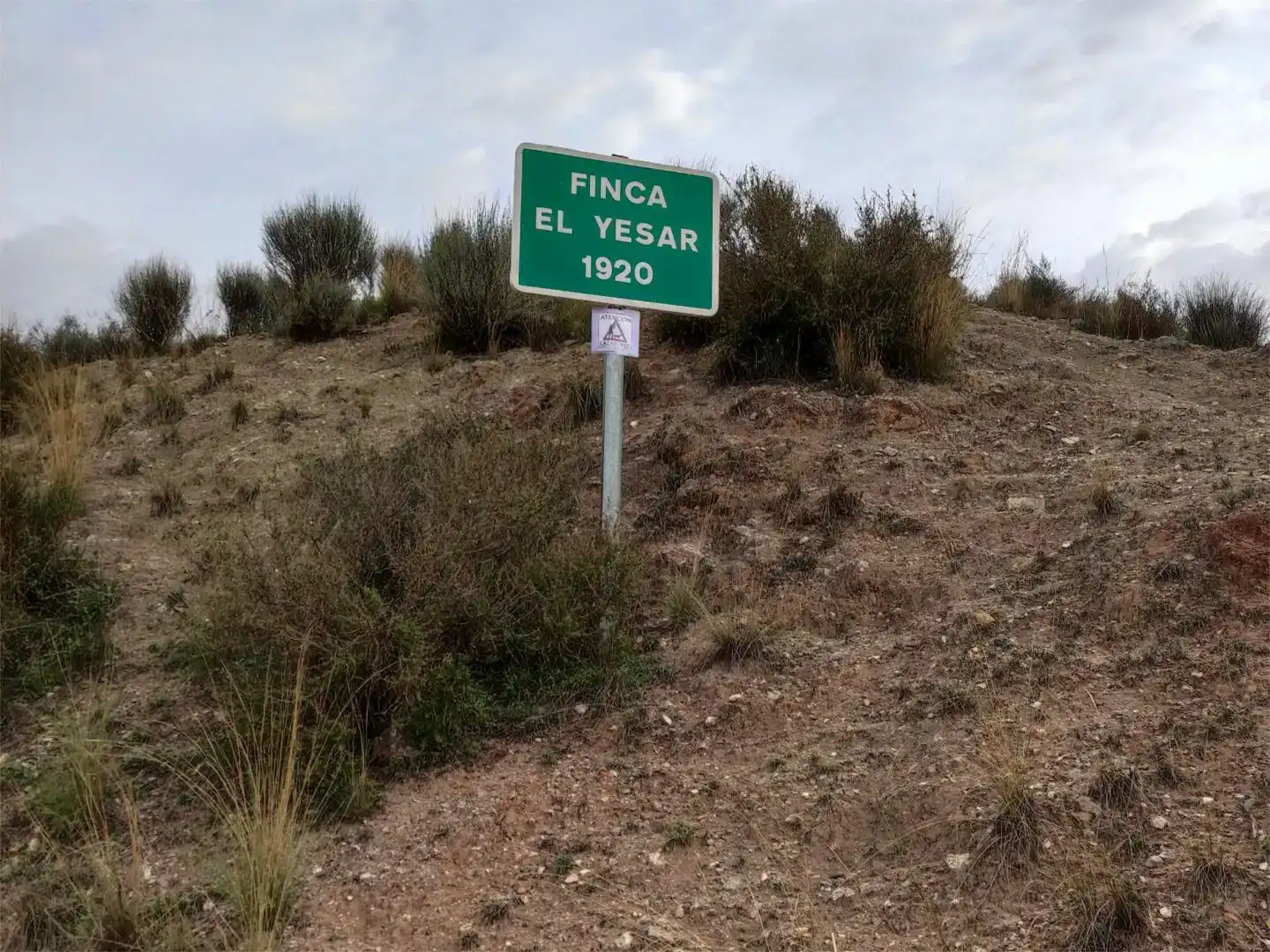 Terreno en venta en Alborache