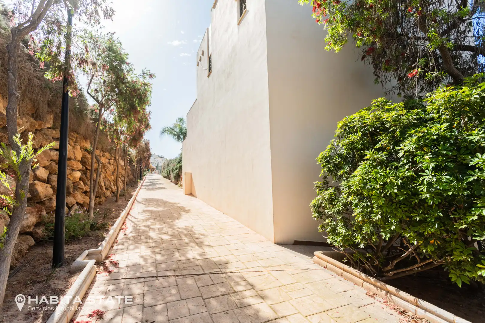 Vista exterior de Apartamento en venta en El Ejido con Terraza, Amueblado y Horno