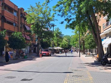 Local comercial en venta en Calle Madrid