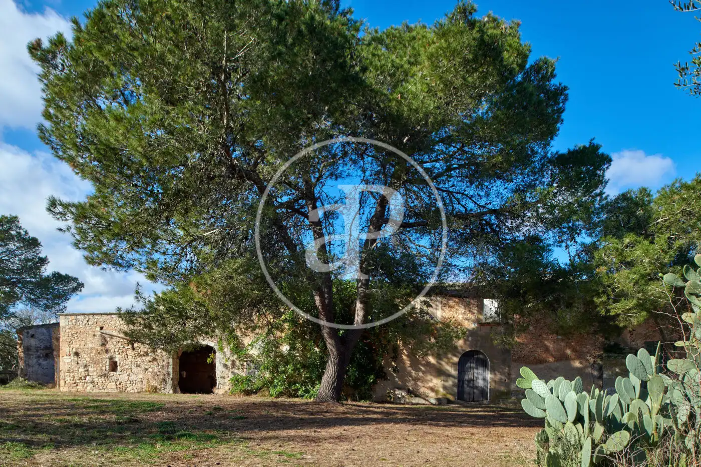 Casa rústica en venda a Porreres, imagen 13