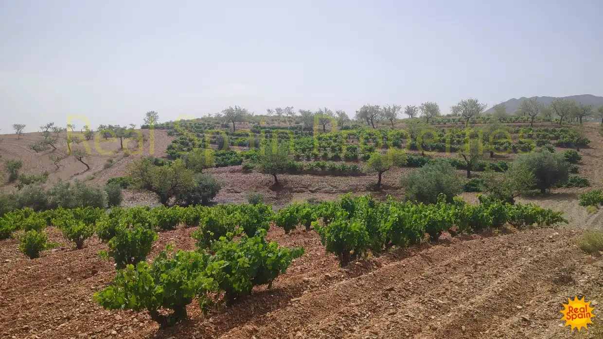 Residential land for sale in Vélez-Rubio, imagen 2